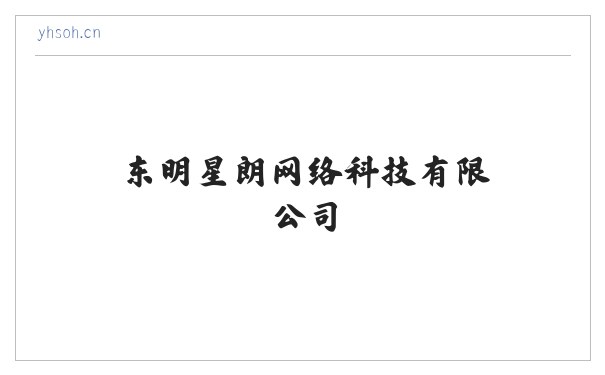 星朗网络 - 东明星朗网络科技有限公司 缩略图